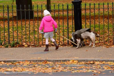 DSC_0697 (Large).JPG